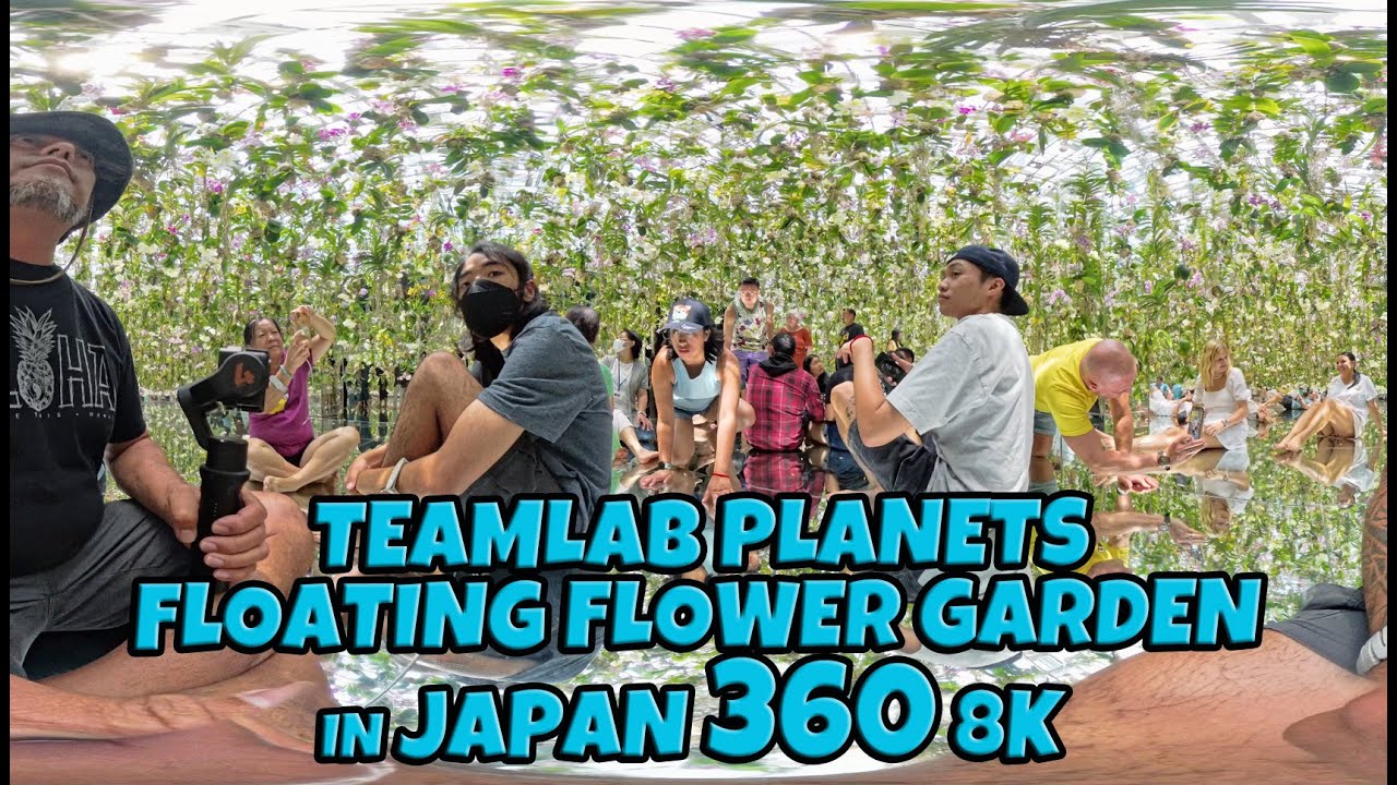Virtual Walk Insta360 X4 TeamLab Planets Floating Flower Garden | Orchids | Places to See in Japan