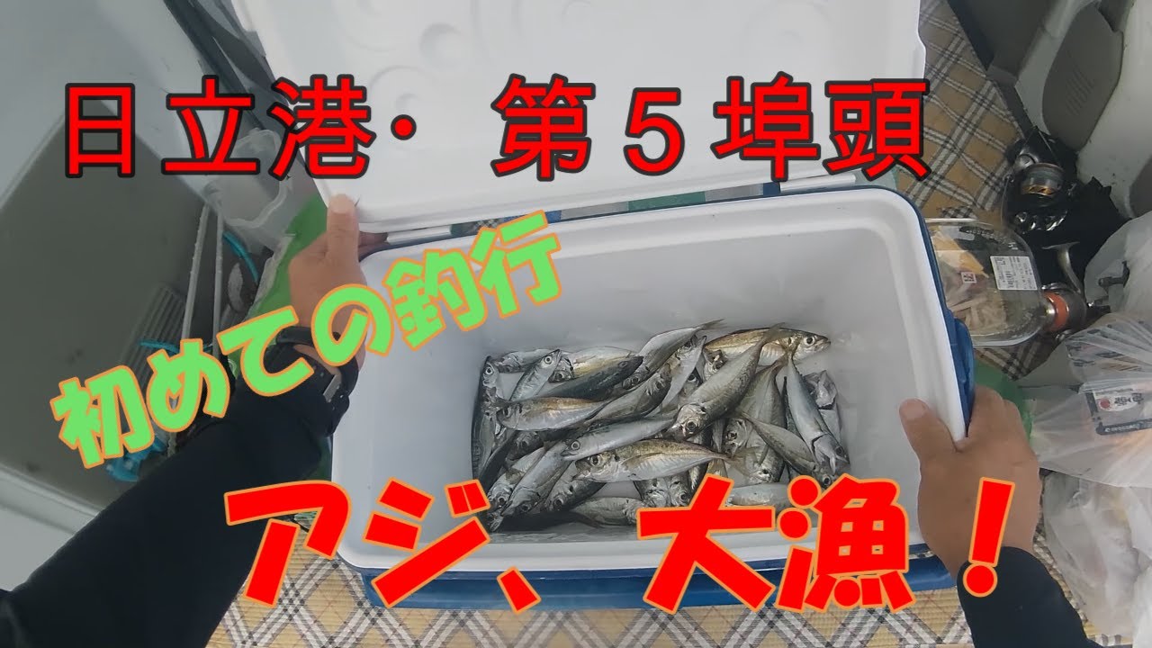 日立港で初めて釣りをしました。2024.915~16 アジ、サバ、ボラ。サビキ釣り、泳がせ釣り。