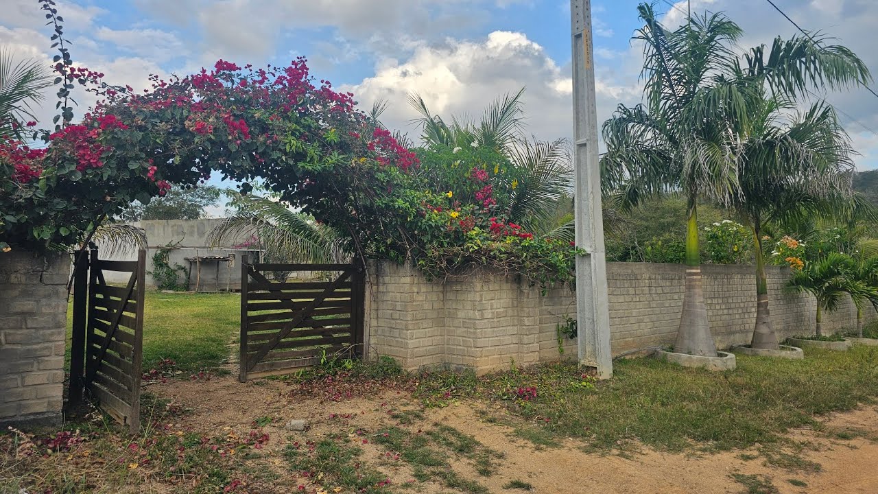 CHÁCARA À VENDA COM VÁRIAS FRUTEIRAS ESCRITURA E POÇO ARTESIANO 