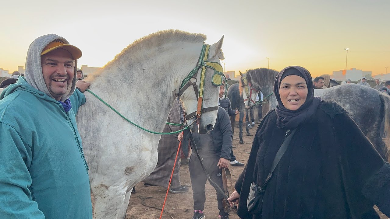 🚨اخر سوق الخميسات قبل شهر رمضان خيرات مولانا عجول ضخمة و خيوول ممتازة سوق زاهي✅