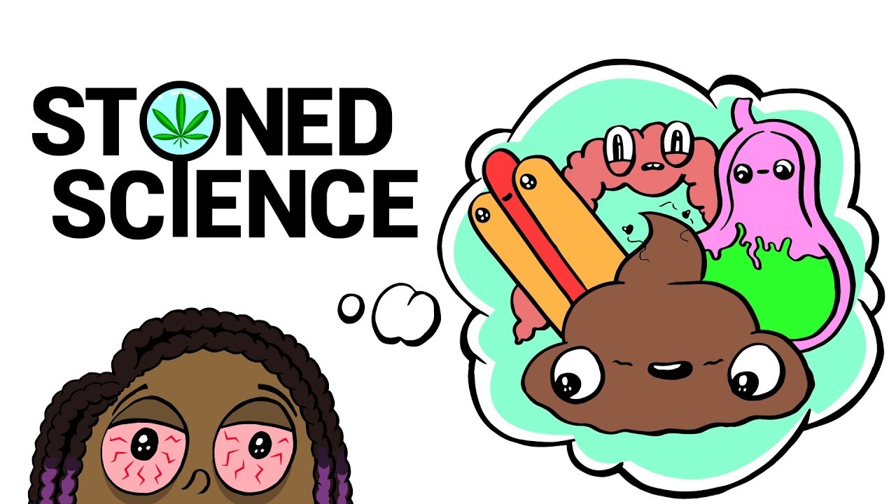 Stoned Girl Tries To Explain the Digestive System | STONED SCIENCE