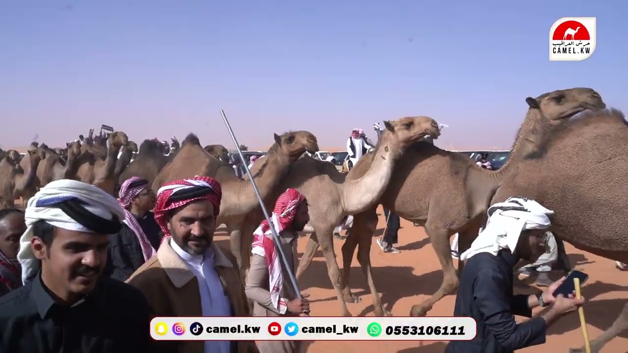 مسيرة الطــوفان لرجل الأعمال محمد حسن الصقور الشهراني