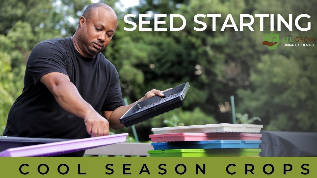 What Seeds Can You Start Right Now? Starting Cool Season Crops with ATL Grow