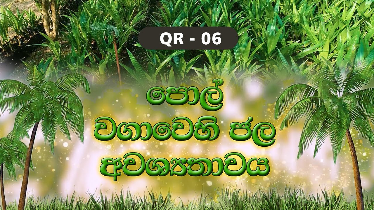 QR 06 - පොල් වගාවෙහි ජල අවශ්‍යතාවය