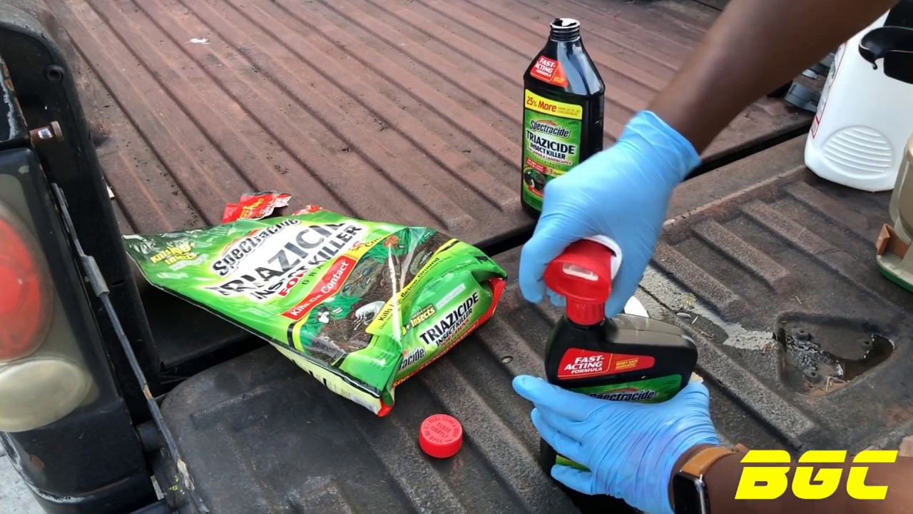 How to kill Lawn Pest plus how to get rid of Fire Ants