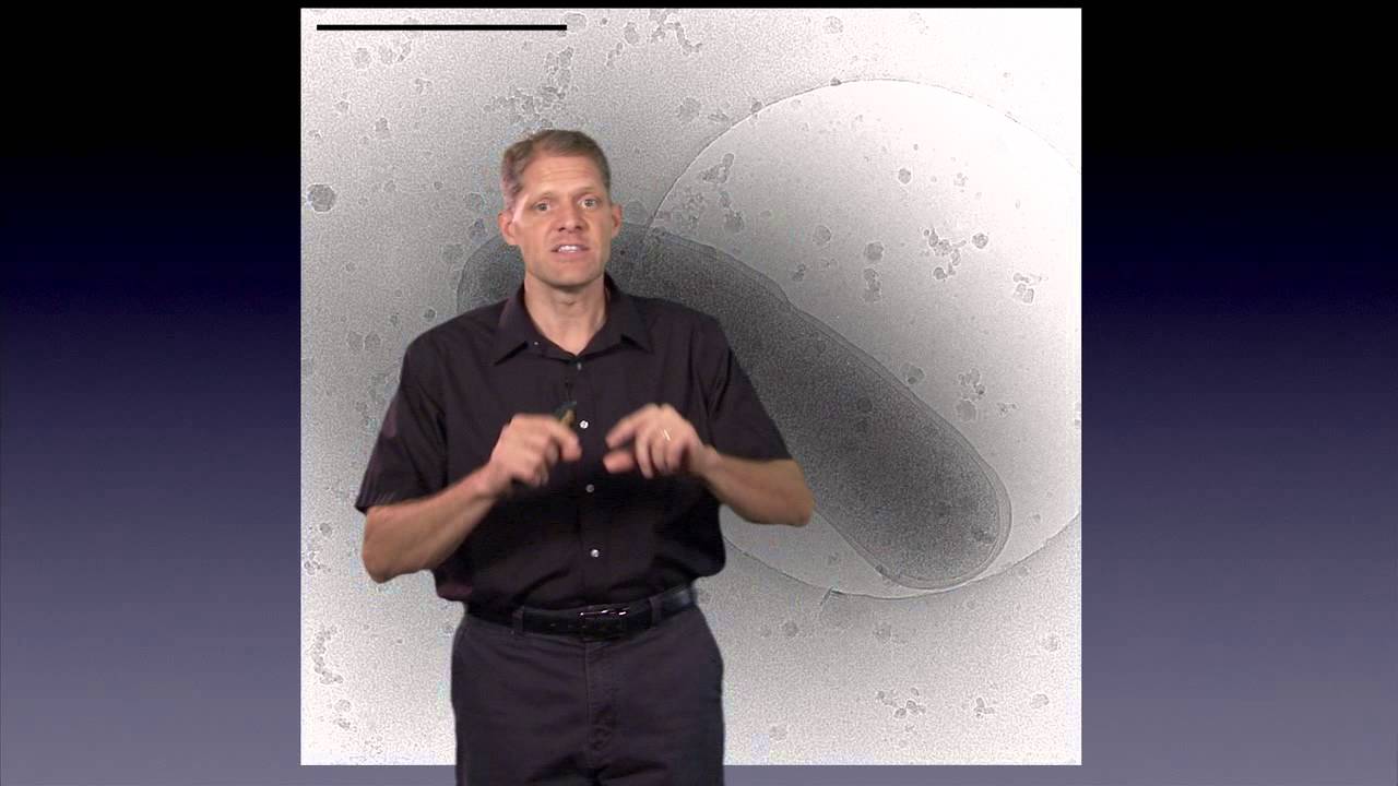 Part 4: Sample Prep: Methods Involving Freezing - G. Jensen