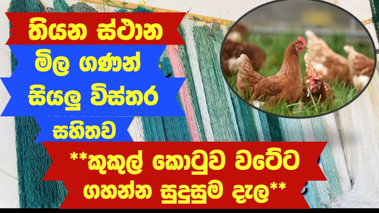 12. කුකුල් කොටුව වටේට ගහන්න සුදුසුම දැල.තියන ස්ථාන,මිල ගණන්,සියලු විස්තර සහිතව@danuma9 #chicken#net