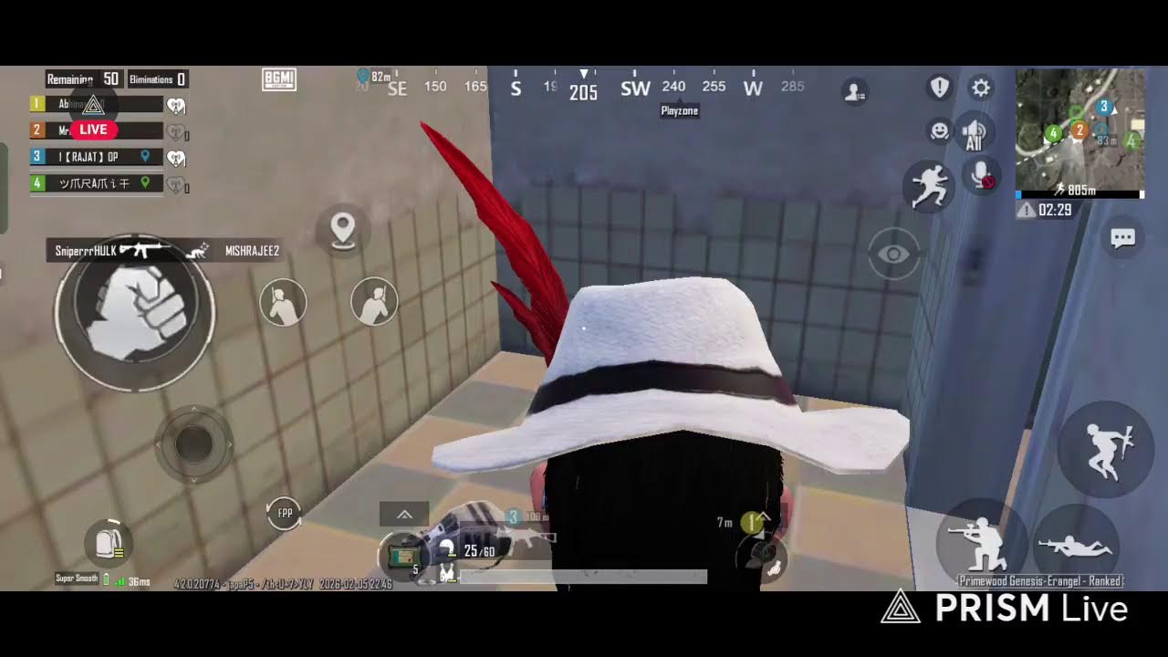 Brain puzzle game live stream come on find with me