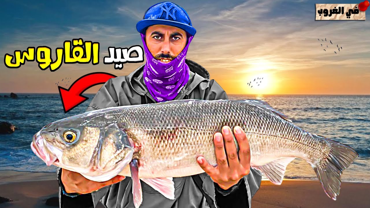الصيد مع غروب الشمس لسمك القارص مغامره صيد لا تنسى مع الحصيله اللهم بارك