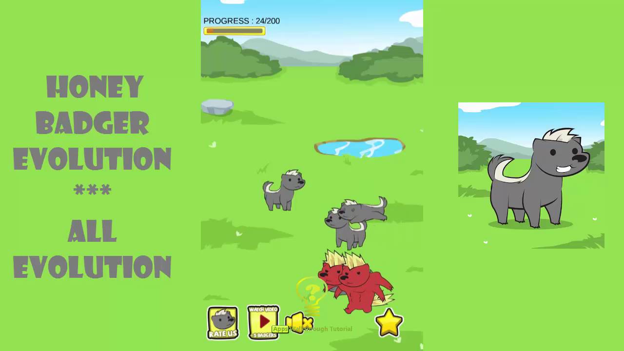 Honey Badger Evolution  - All Evolution