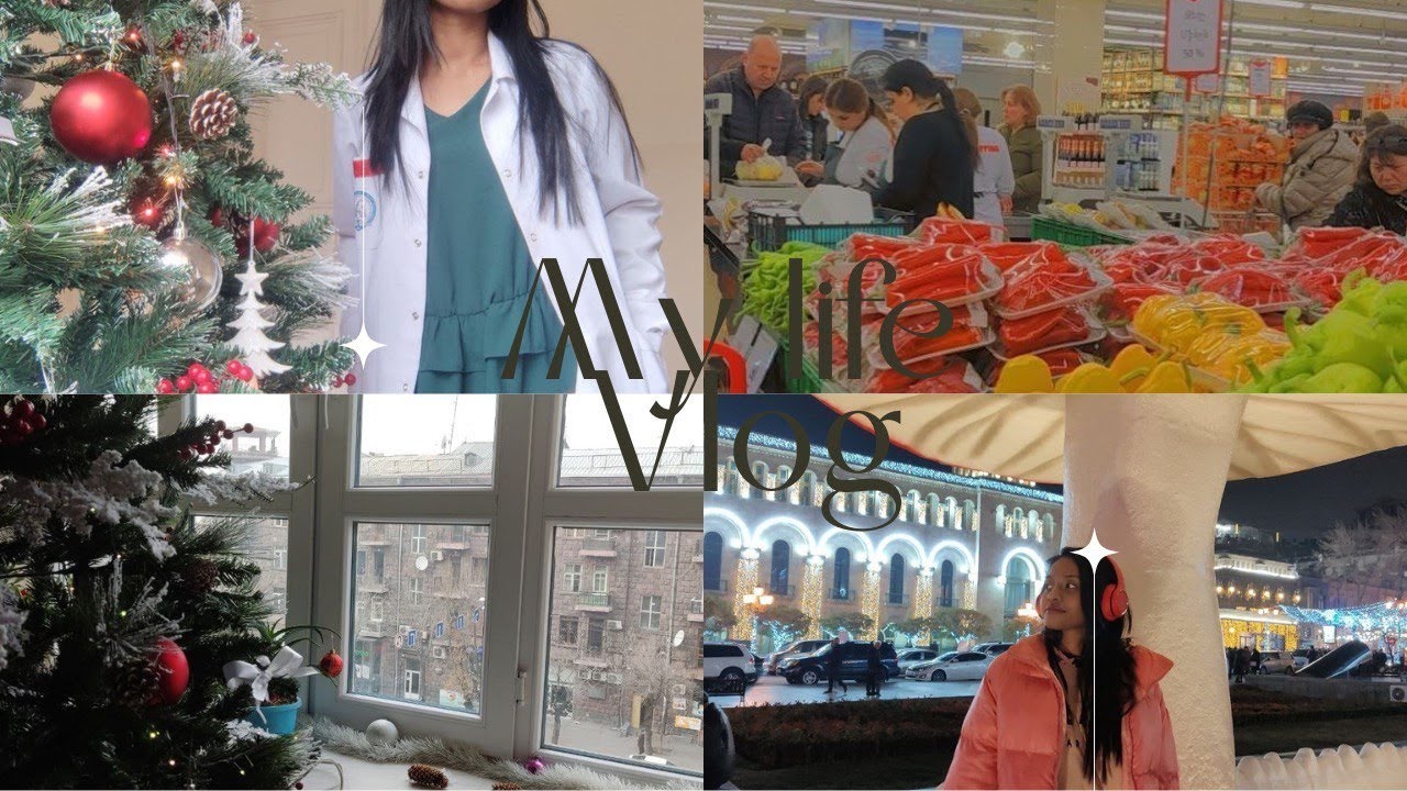 LIFE OF AN INTERNATIONAL STUDENT IN ARMENIA ( YSMU)