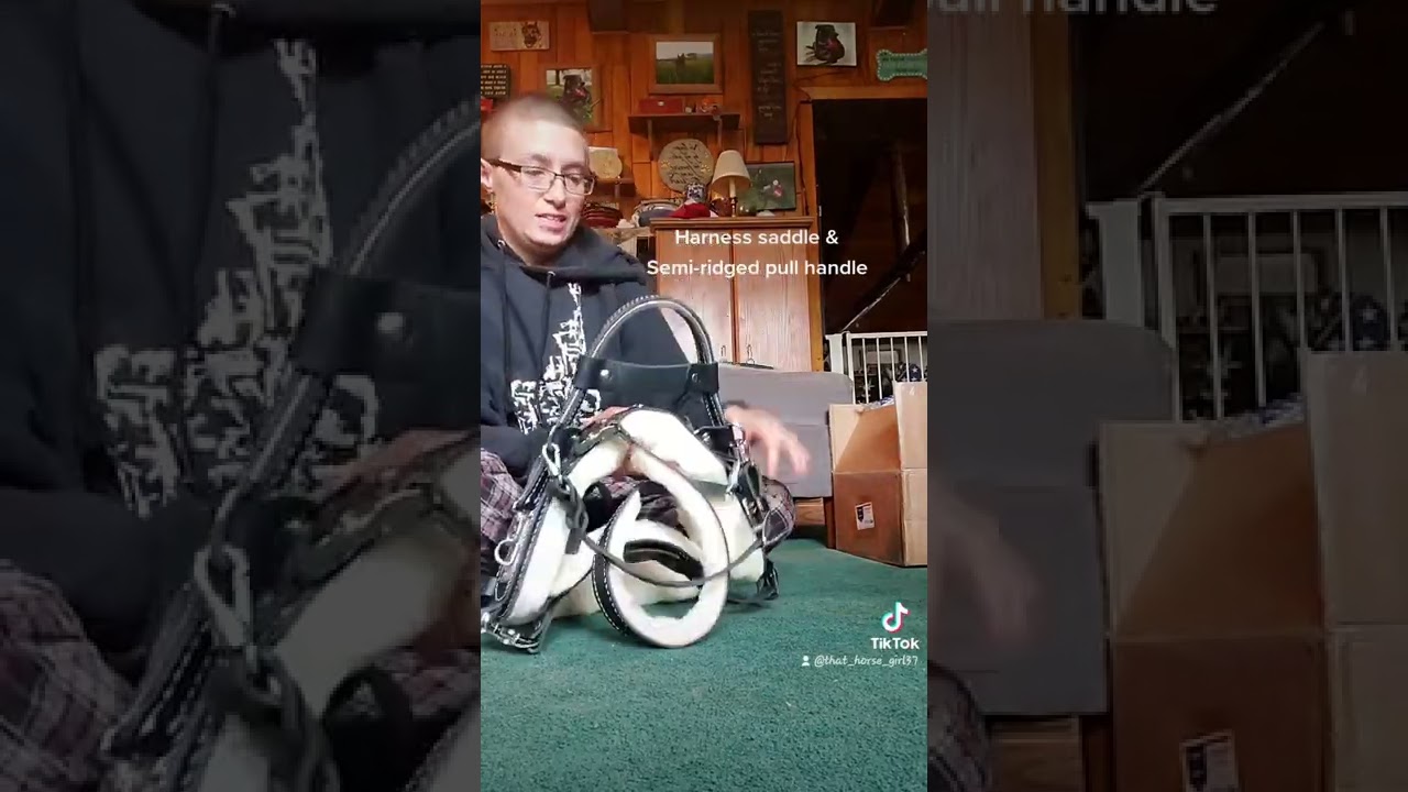 UNBOXING: Bold Lead Designs Mobility Harness