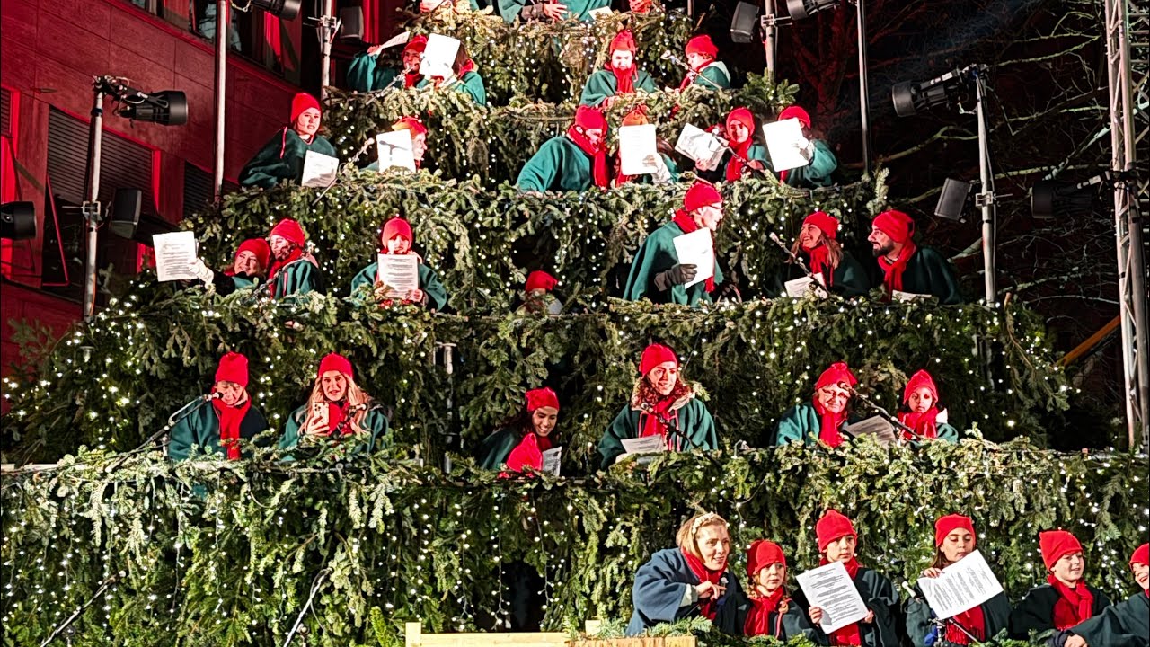 The Singing Christmas Tree in Zurich 🇨🇭