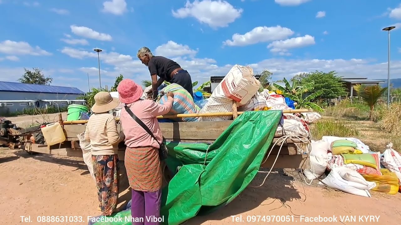 លោកអ៊ំសេកជានិងលោកតាសៀរមកភូមិវិញប្អូននឿតបានធ្វើរោងនៅហើយ