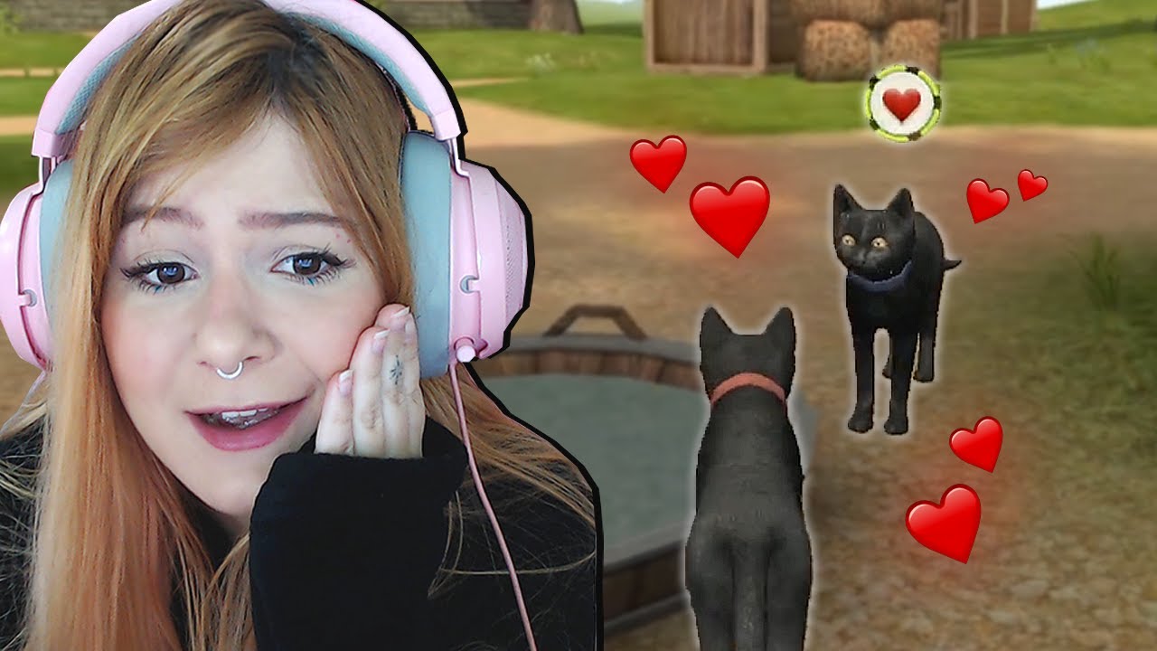 AGORA EU TÔ NAMORANDO! - Cat Simulator