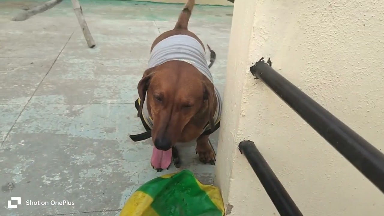 Ivatthina nanna dhina 😍❤️😜😜