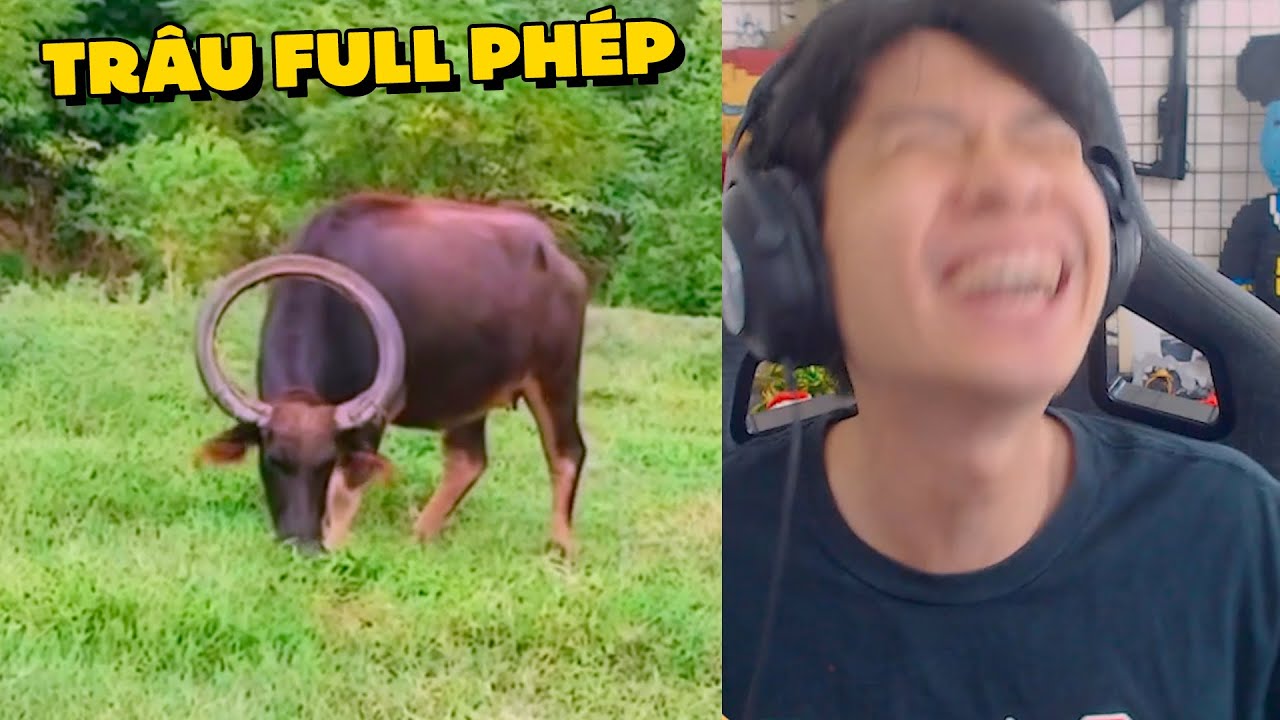 PobbRose T&Ecirc; T&Ecirc; C&Ecirc; C&Ecirc; !!! (Pobbrose TTCC) ✔