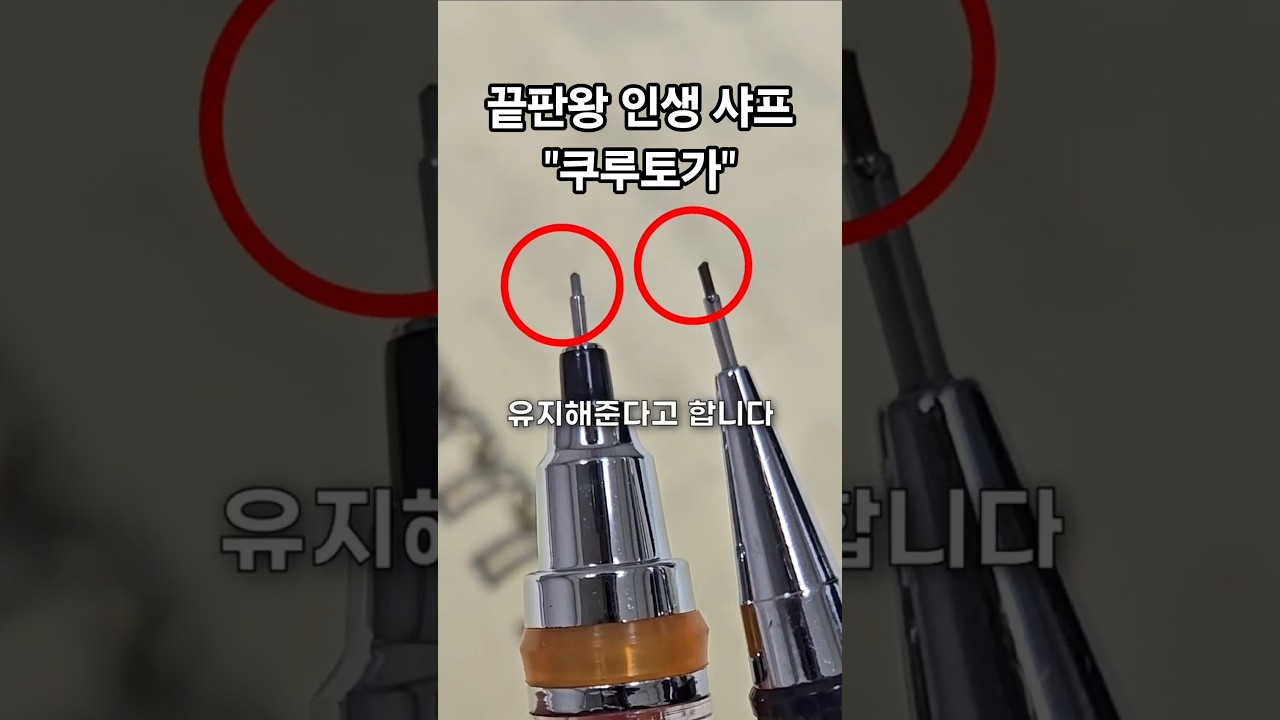 일본 기술력 몰빵했다는 쿠루토가 샤프 후기