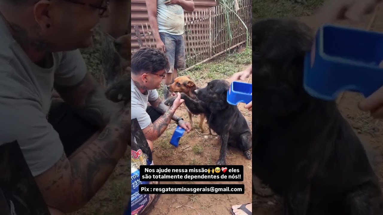 TRAGÉDIA EM MINAS GERAIS - CENÁRIO É DEVASTADOR E VAMOS AJUDAR QUEM PRECISA