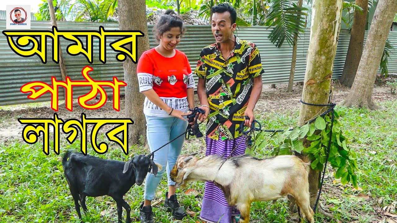 আমার পাঠা লাগবে | Entertainment | Funny Video | Funny Alomgir24