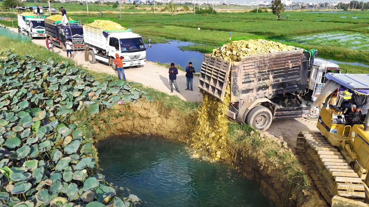 Perfectly Started New Project!DumpTruck Filling Land Delete Pond By Skillful Dozer D31A Pushing Soil
