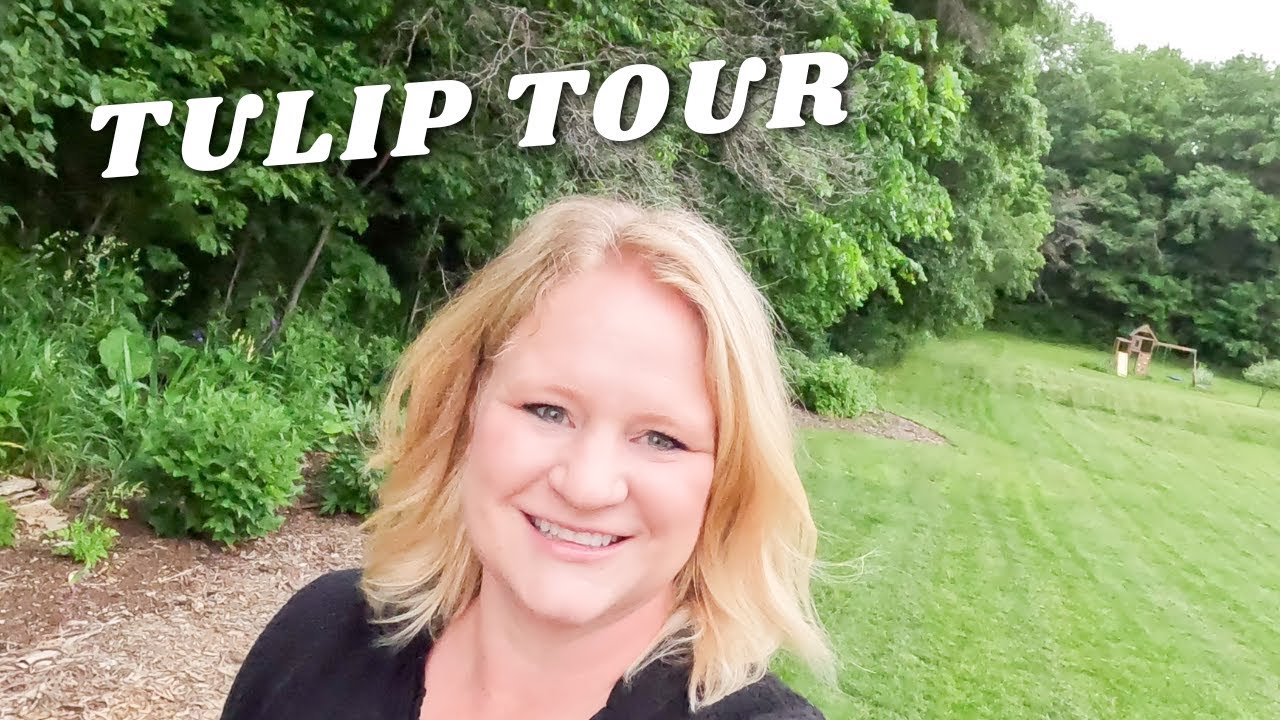 Tulip Tour 🌷