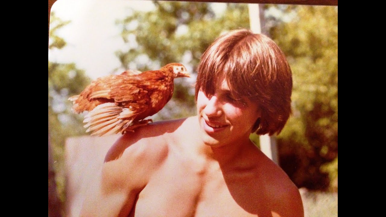 Cross Breeding Meat Chickens Week 44