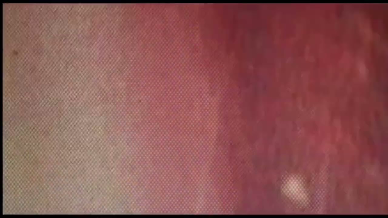 pinkpantheress-take me home(UNRELEASED VISUALISER +UNHEARD DEMO VERSION)