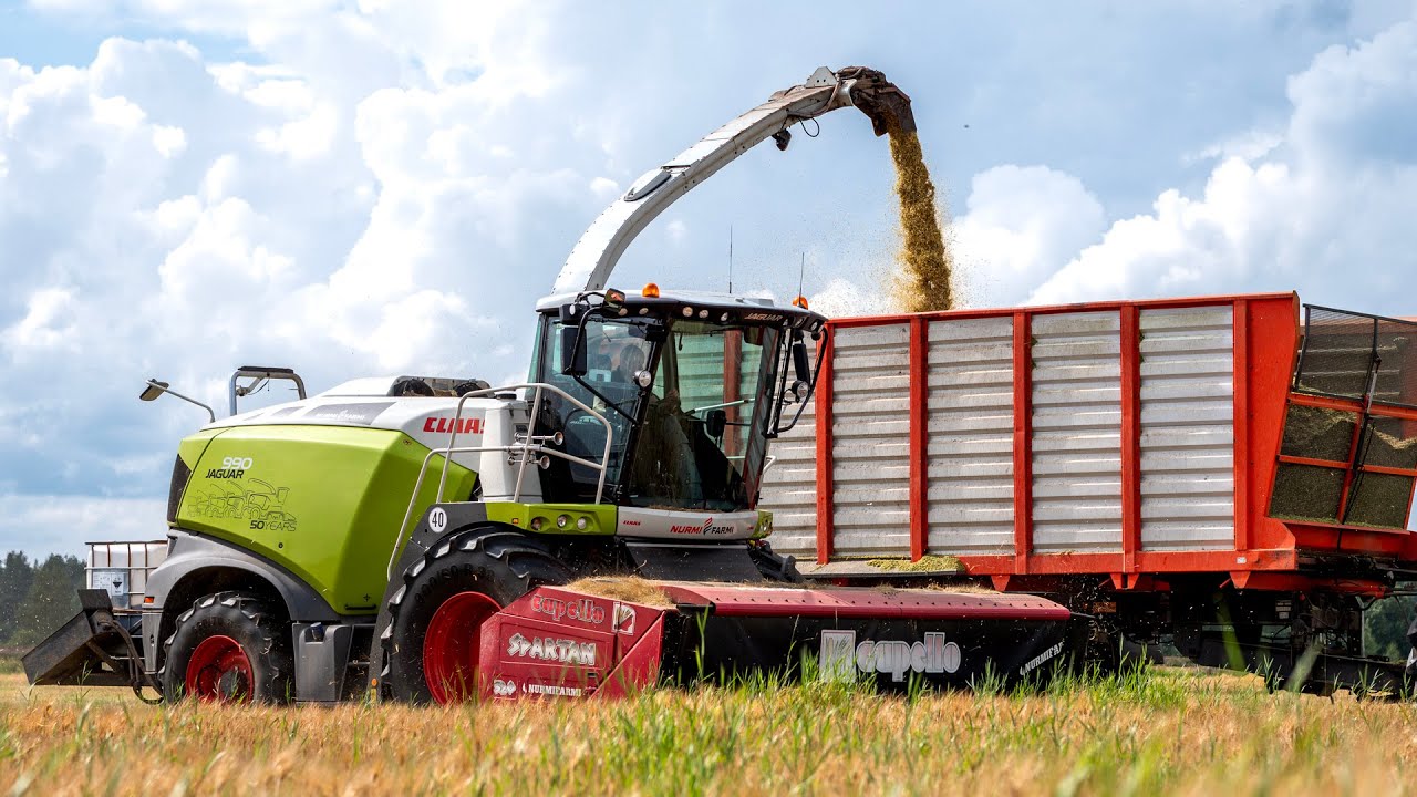 CLAAS Jaguar 990 | Kokoviljarehu 2025 | NurmiFarmi | Kalajoki, Finland