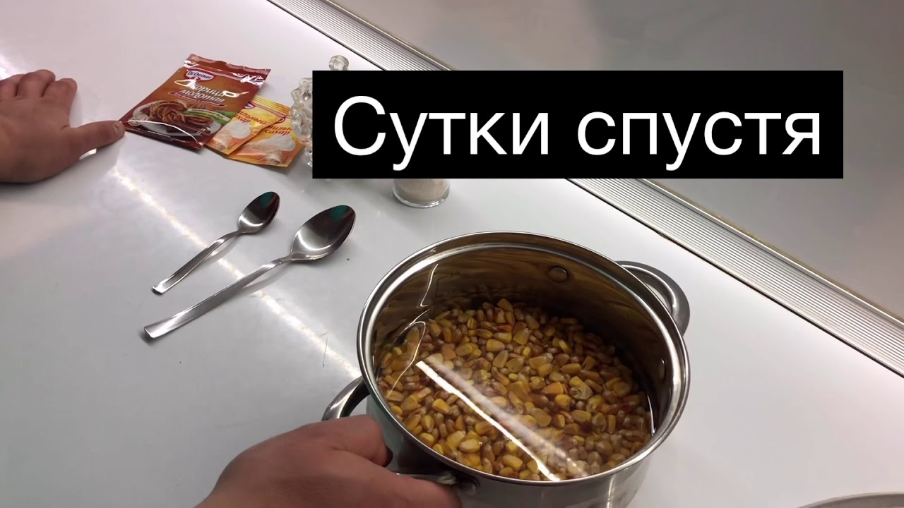 Как приготовить кукурузу для рыбалки.