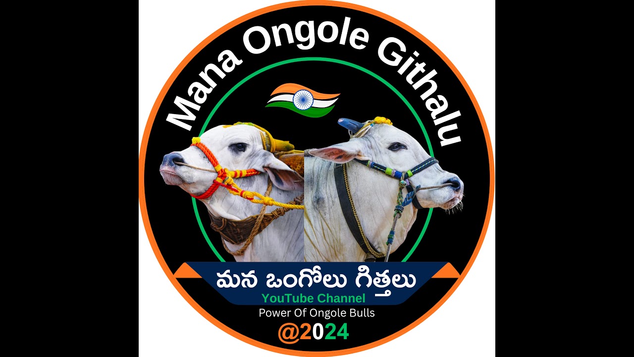 మలిల్లపల్లి కోర్టు మరియు బండ వివరాలు