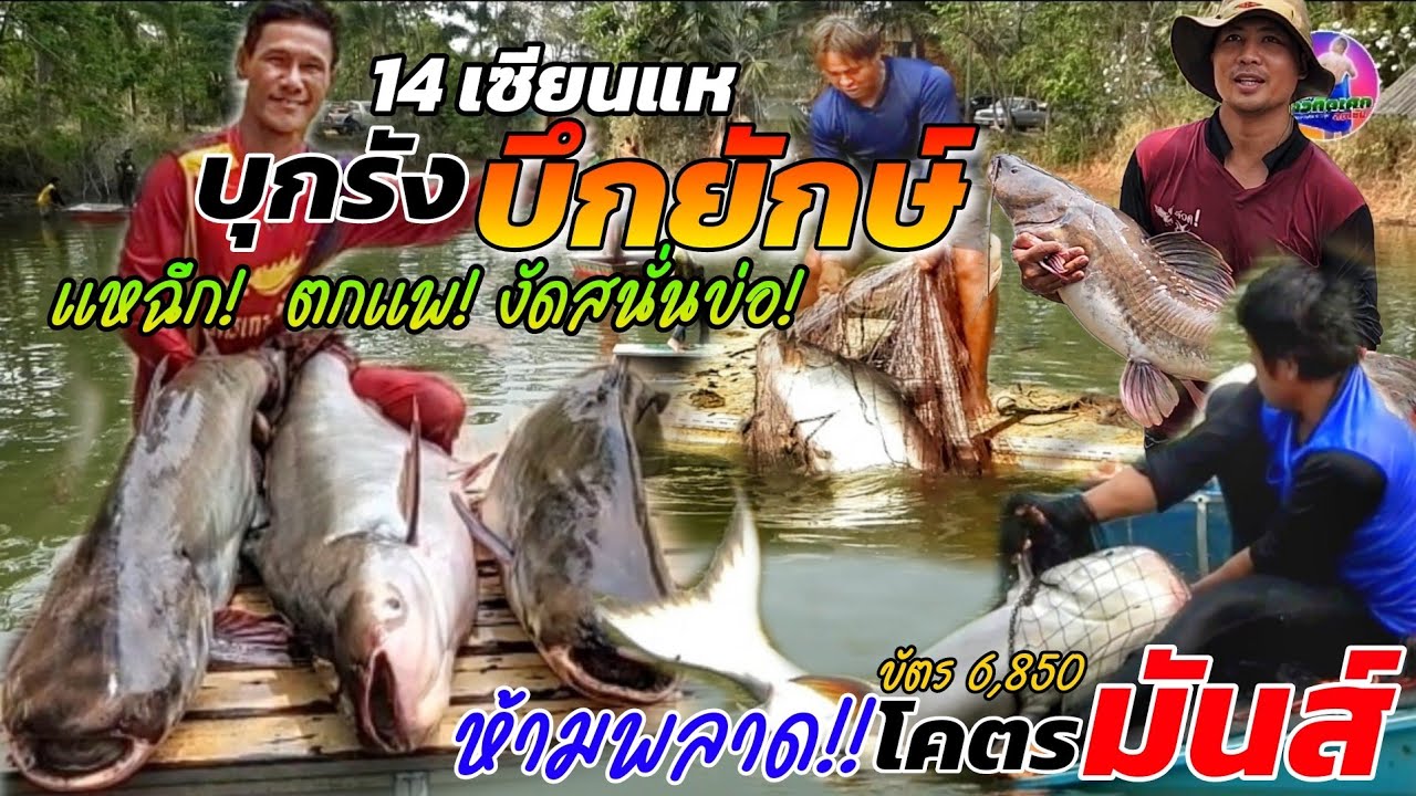 โคตรมันส์!! 14 เซียนแห บุกรังปลาบึกยักษ์ ครบรส ฉีกแห ดึงตกแพ  งัดกันมันส์สุดๆ บัตร 6,850 จ.อุดรธานี
