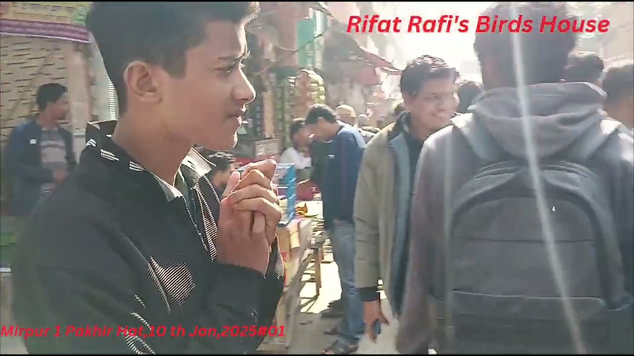 Birds-Animal market in Mirpur1, Dhaka-BD, Part33# হাটের দামী পাখি