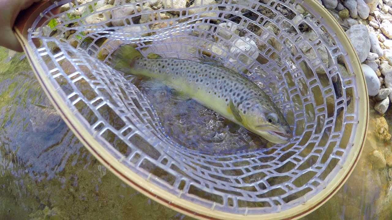 Pesca a mosca secca - Torrente appenninico in caccia