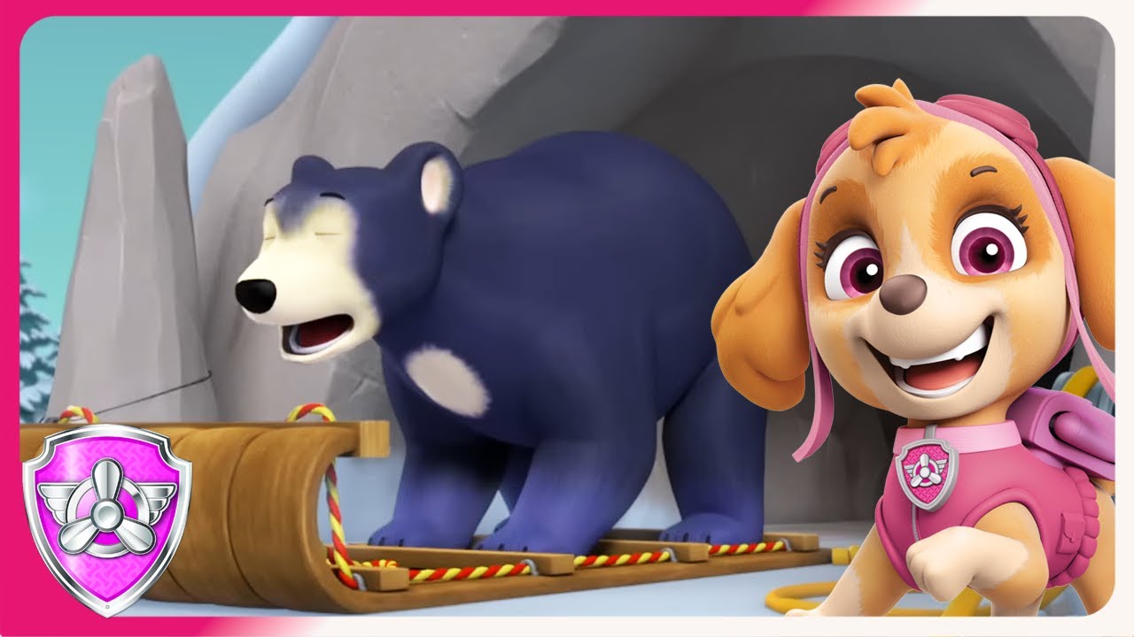 Skye and Pup's Rescue a VERY Tired Bear | Skye PAW Patrol | Cartoons for Kids