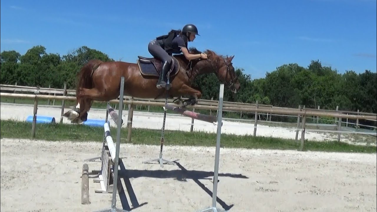 ■ 15/08/2021 - Essai, entraînements Bazus de Kervalennou - CSO - Clara Maitre