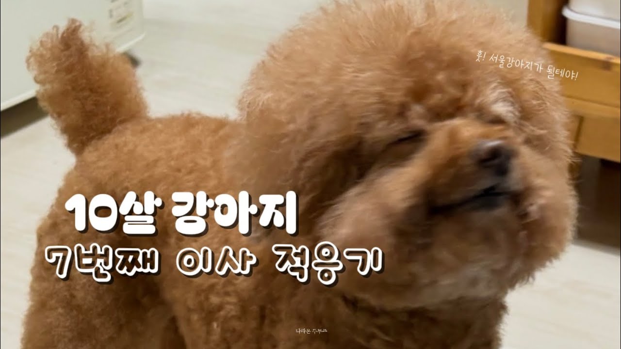또 이사라고??? 👀