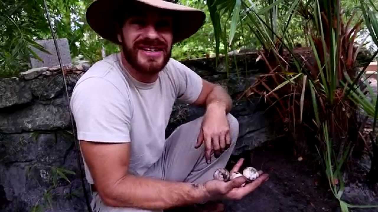 How To Find Tortoise Eggs : Kamp Kenan S3 Episode 12