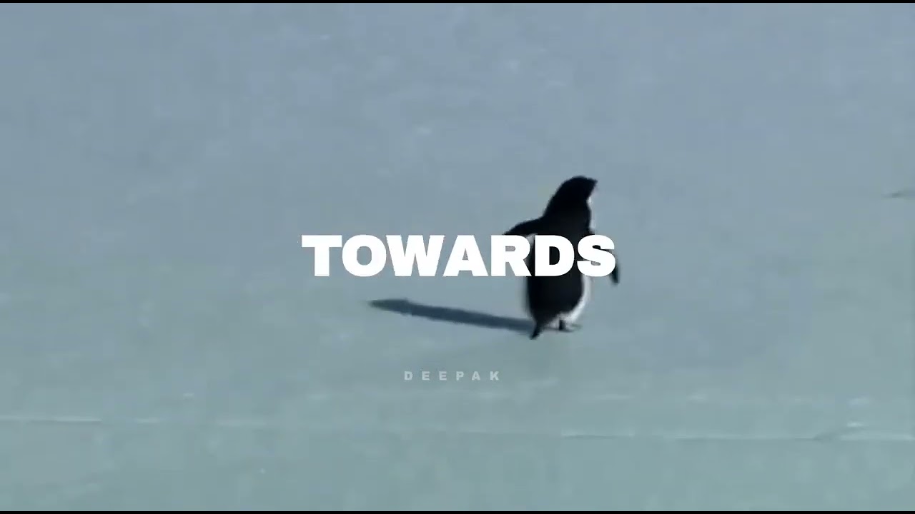Nature   Deranged Penguin Edit