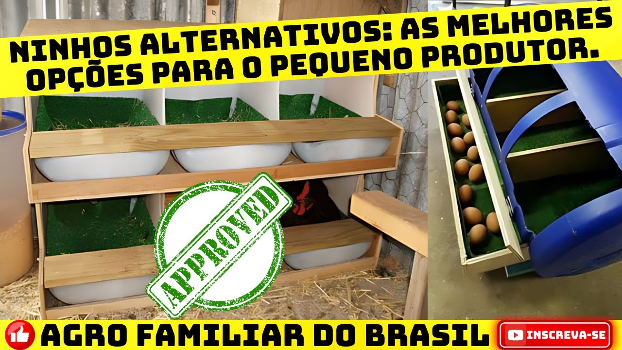 NINHO DAS GALINHAS: Reduza Custos na Sua Granja: Estratégias para Economizar nos Equipamentos