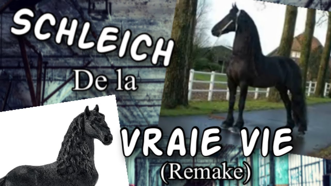Les Schleich de la Vraie Vie (Remake)