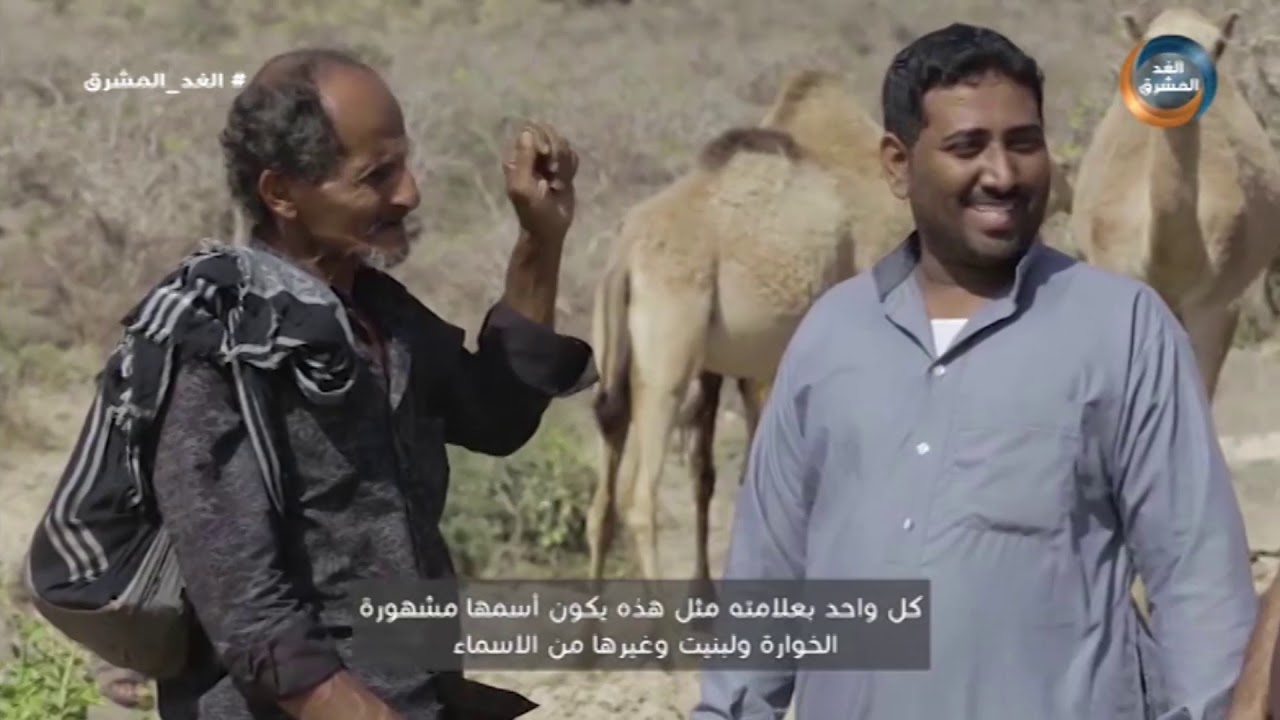 دروب وعطاء | تعرف على أسرار تربية الإبل وحساب النجوم في محافظة المهرة