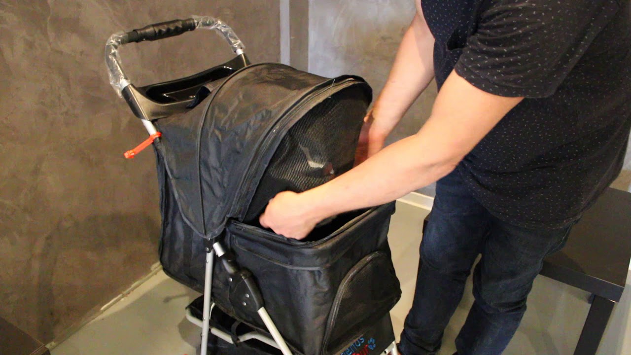 Poussette pour Petit Chien ou Chat Munich