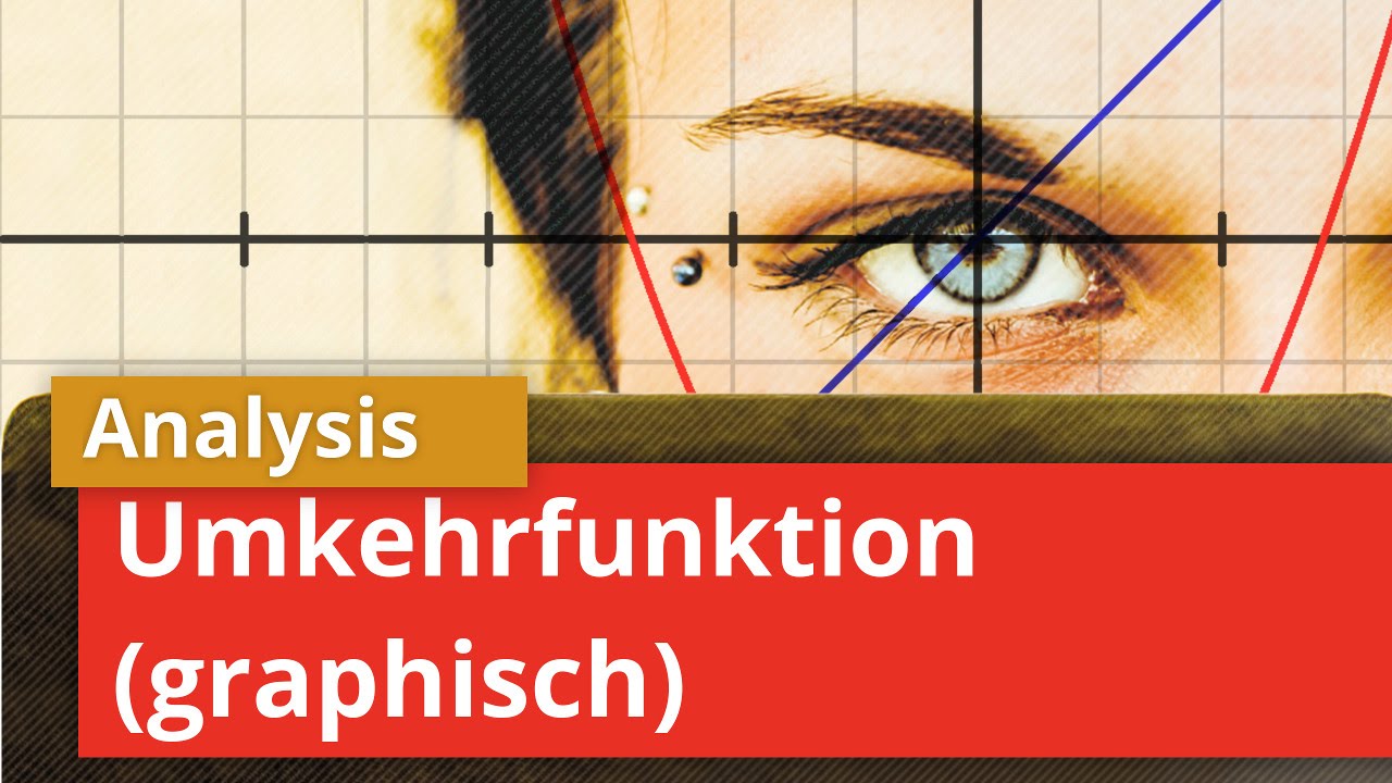 Umkehrfunktion graphisch bestimmen | Kurvendiskussion