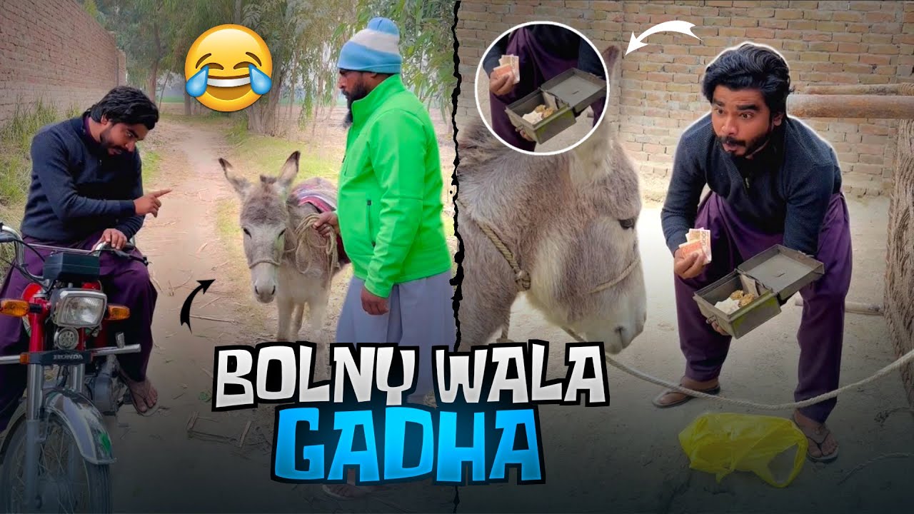 🫏 TALKING DONKEY!! | Bolny Wala Gadha 😂