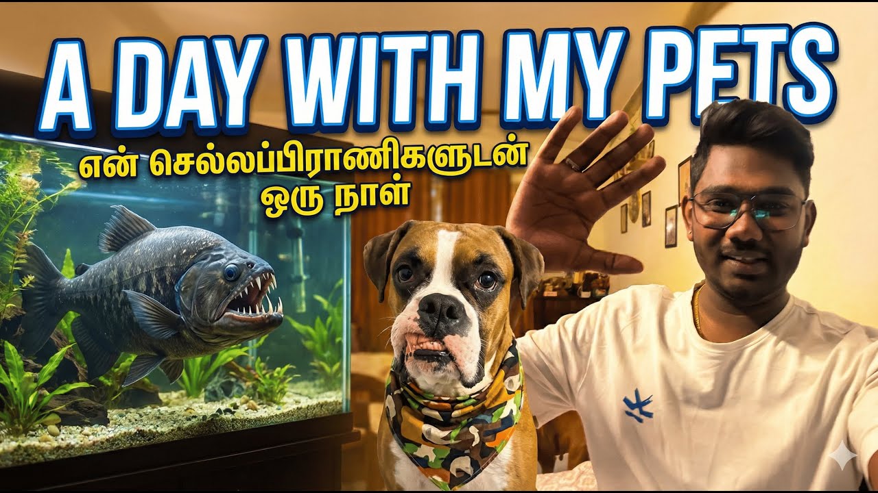 Enga Veetu Kutties ❤️ My Pet Care Routine in Tamil