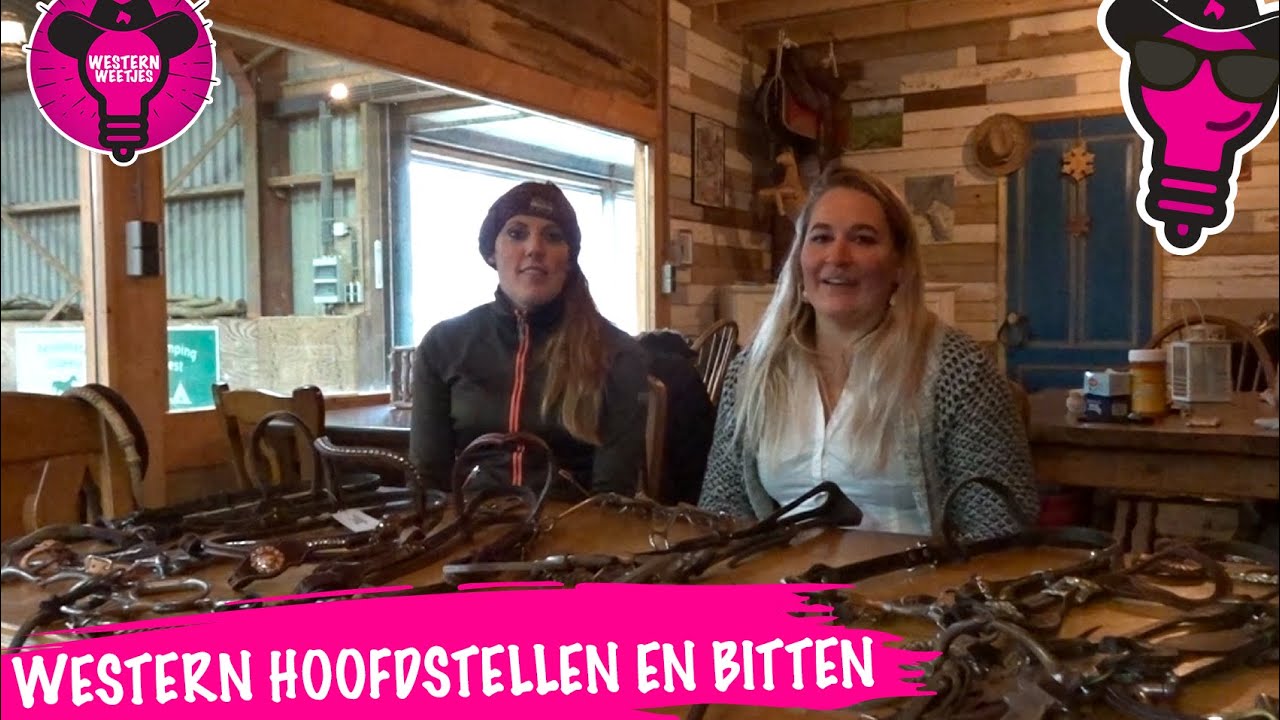 Uitleg over de verschillende western hoofdstellen en bitten | WesternWeetjes