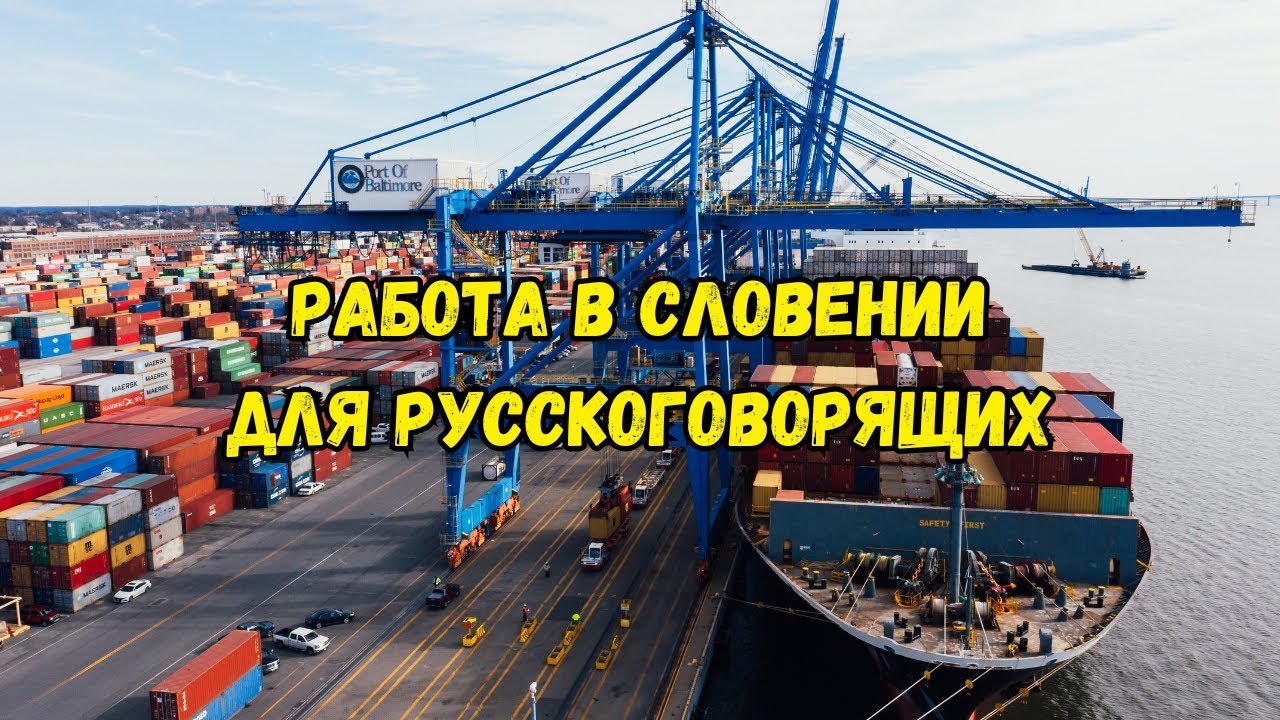 Работа в порту: возможности и перспективы в Словении 📦⚒️