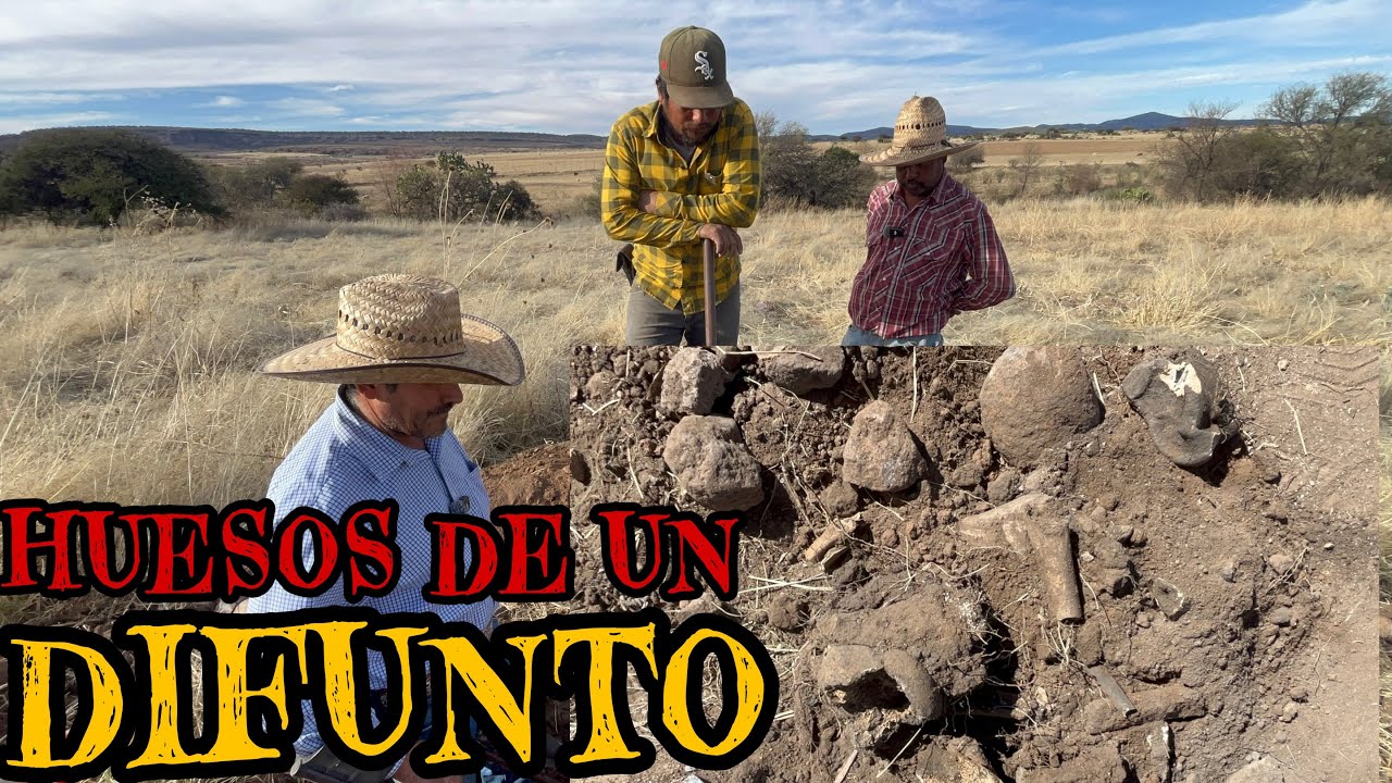 NOS ASUSTÓ EL GALOPE DE UN CABALLO Y NO ERA NADA 