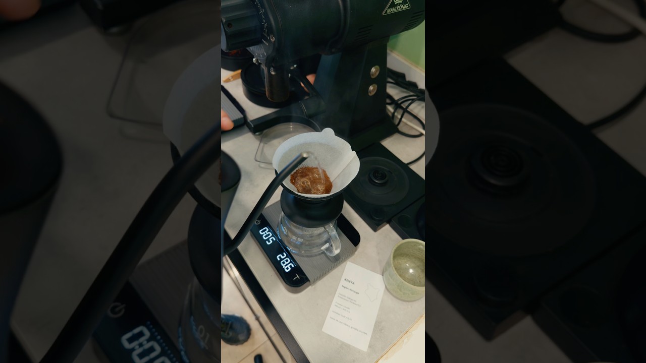 Trying the new Hario V60 Neo ☕️ #hario #v60 #v60neo #harioneo #pourover #barista